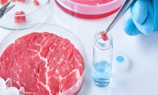 Лабораторный анализ пищевых продуктов по СанПиН в Тайшете в октябре