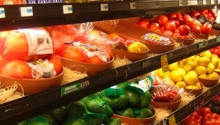 Сертификация пищевой продукции в Тайшете – цена от 10385 руб. | ПромМир-Тшт