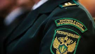 Подготовка к проверке Росприроднадзора в Тайшете от ПромМир-Тшт, стоимость услуги от 20770 руб.